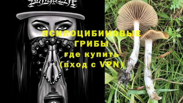 COCAINE Богородицк