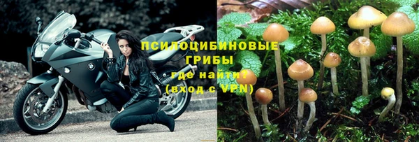 прущая мука Богданович