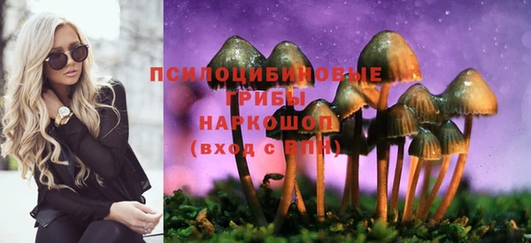 COCAINE Богородицк