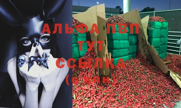 COCAINE Богородицк