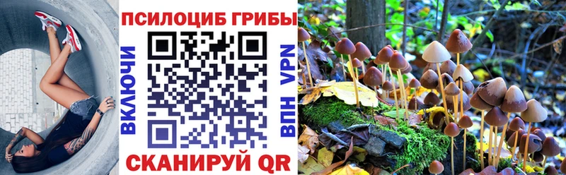 где найти наркотики  MEGA как войти  Псилоцибиновые грибы прущие грибы  Наро-Фоминск 