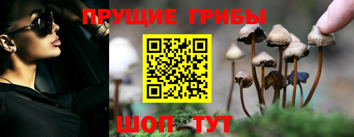 Галлюциногенные грибы мухоморы Наро-Фоминск